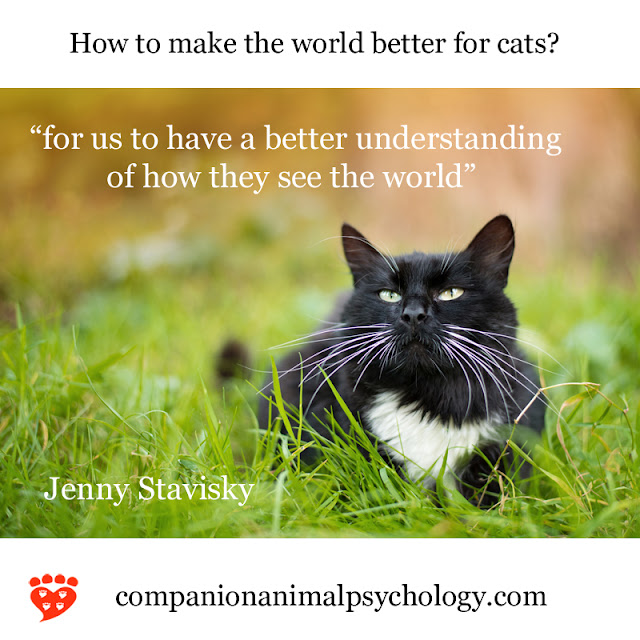 Dr. Jenny Stavisky on how cats see the world