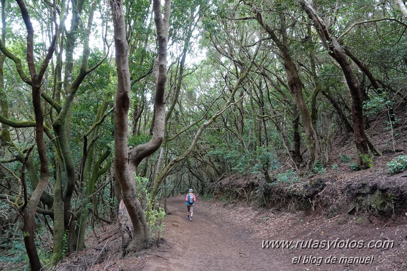 Sendero de los Sentidos - Sendero de los Enigmas