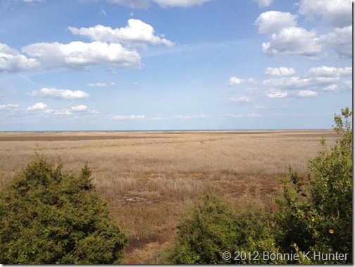 Delaware2012 225