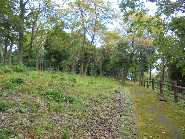 弥生の森の遊歩道