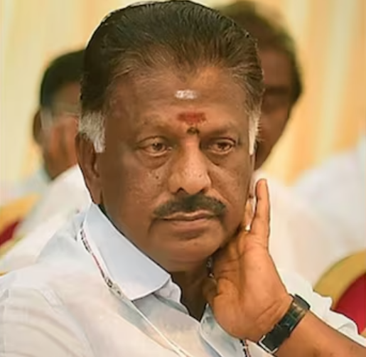  Five individuals referred to as 'Panneerselvam' submit nominations as Independents in Tamil Nadu