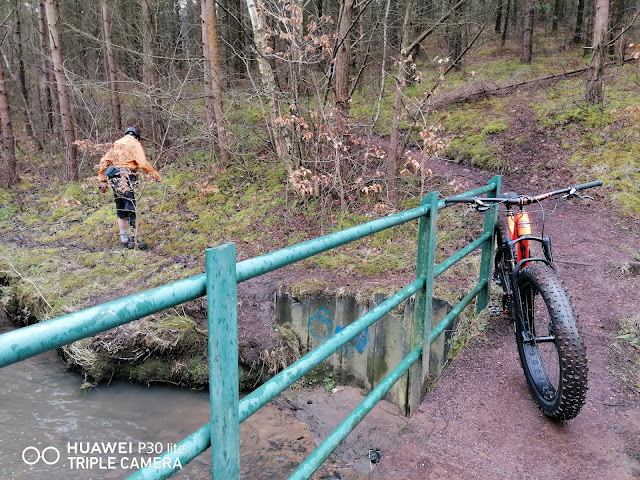 Silverback on the bridge