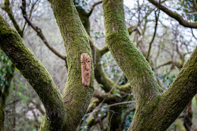 Faces in the woods