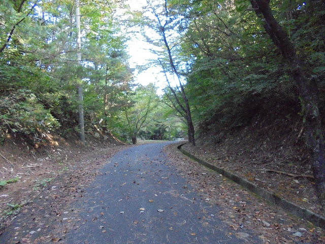 丸山ふれあいの森キャンプ場へ歩きます