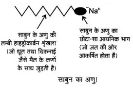 Solutions Class 12 रसायन विज्ञान-II Chapter-16 (दैनिक जीवन में रसायन)