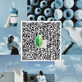 Snapseed Qr Codes