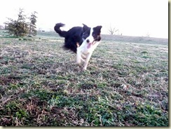 running cade in ky