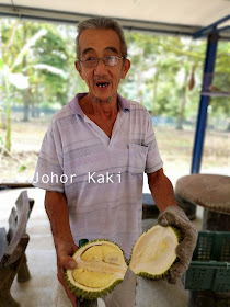 Zhong Cheng Durian Farm in Kulai Johor 忠诚榴莲园 