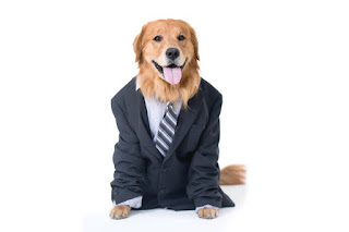 Dog lawyer would be better than human lawyer Leave the emotion to the soap operas