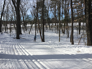 Cross County ski trails in wooded area with fields beyond.