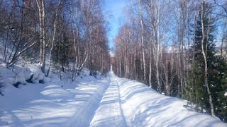 Дорога вдоль жд от станции Поворот