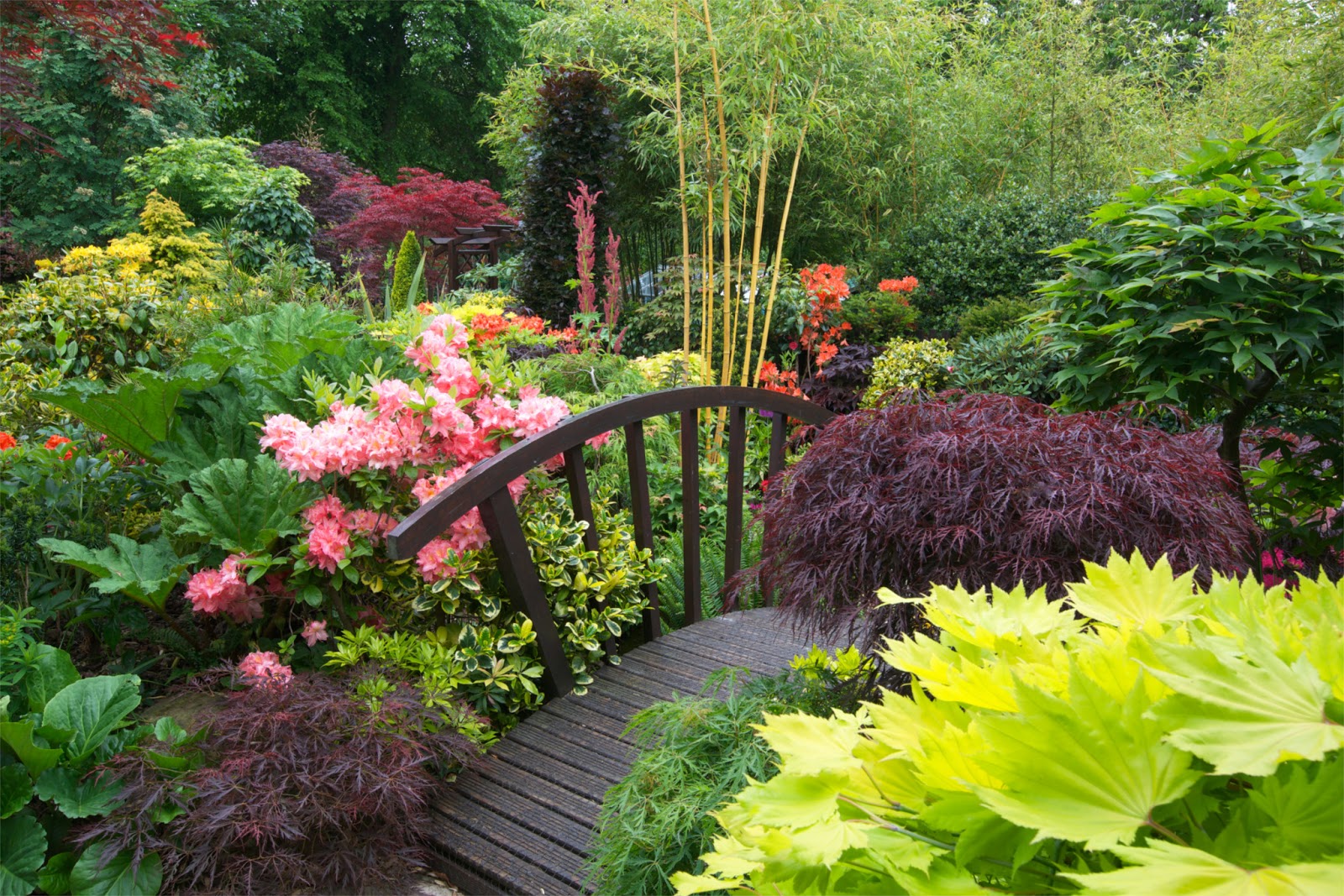Drelis Gardens: Four Seasons Garden - The most beautiful home gardens in the world! on Beautiful Garden Landscape
 id=67520