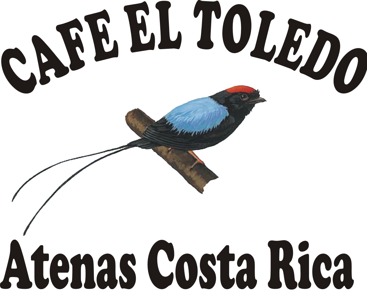Toledo Coffee Tour