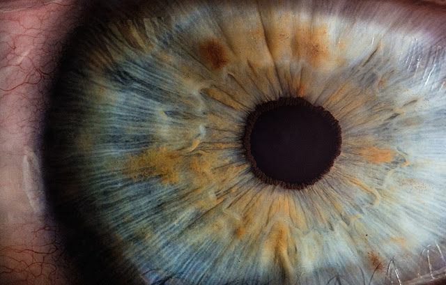 close up view of an eye