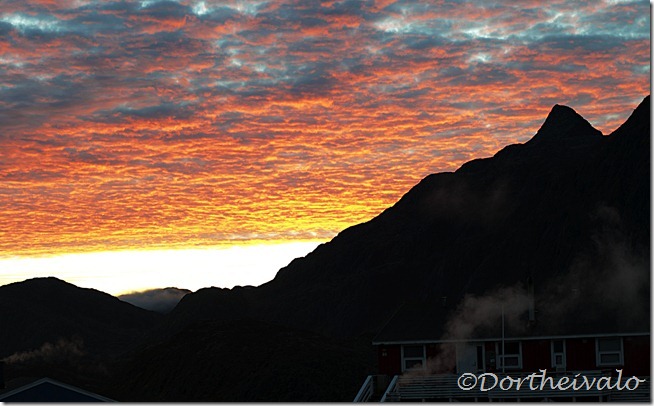 morgensol