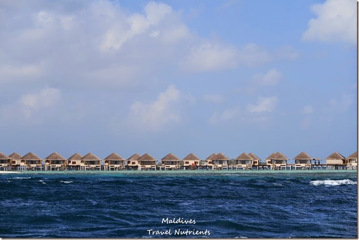 馬爾地夫居民島Mahibadhoo- Amazing Guesthouse (4)