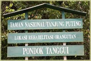 Pondok Tanggui Tanjung Puting