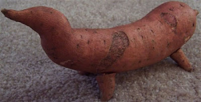 Sweet Potato Looks Like a Wiener Dog