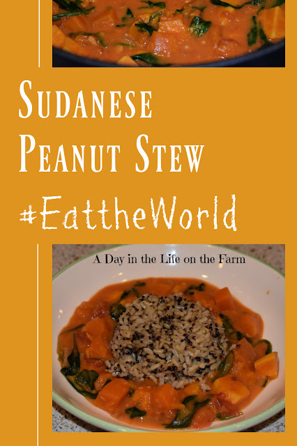 Sudanese Peanut Stew pin