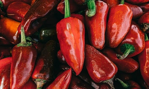a collection of red color fat in size hot chilies