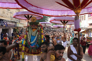 Ippasi Thirumoolam,Sattrumurai, Manavala Maamunigal,Purappadu,2016, Video, Divya Prabhandam,Triplicane,Thiruvallikeni,Utsavam,