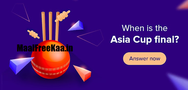 Cricket Contest World Cup 2022 T20 Cricket