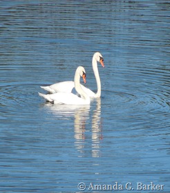 DSCN2305 DSCN2305
