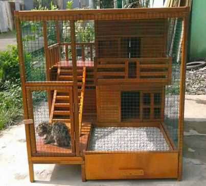 Desain rumah kucing dari kayu desain rumah minimalis terbaru