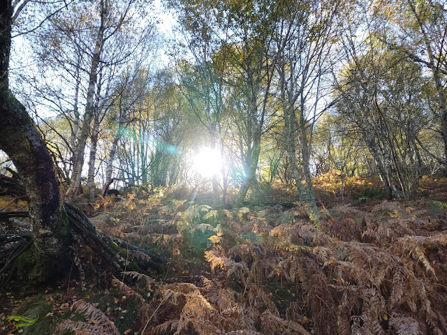 Subida al Cueto Nidio (Valle de Laciana)