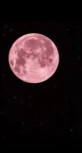 পিঙ্ক মুন পিকচার - গোলাপি চাঁদ ফটো - গোলাপি চাঁদ ছবি - গোলাপি চাঁদ পিকচার  - গোলাপি চাঁদ ফটো -pink moon pic - insightflowblog.com - Image no 7