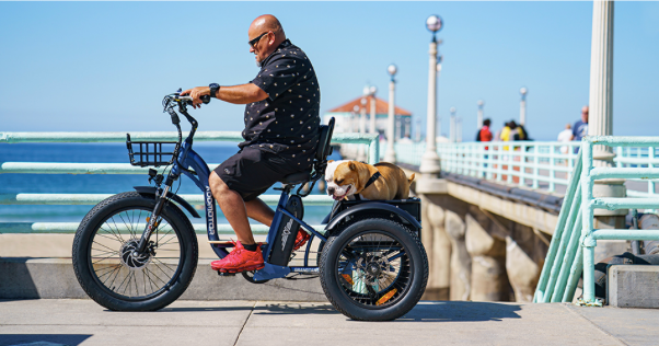 3-wheel Electric Bikes for Seniors | E-Bike FAQs