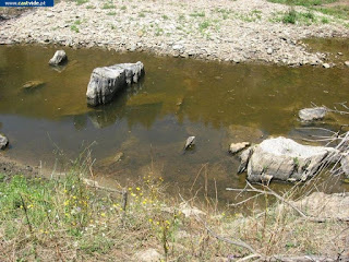 de Castelo de Vide / Portalegre (Alto Alentejo), Portugal (Fish / Pesca)