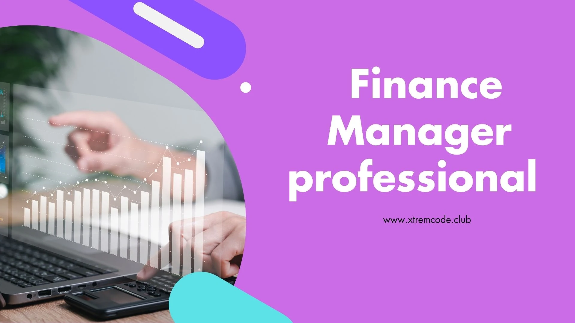 Finance Manager professional