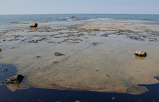 pencemaran limbah logam berat ke air laut