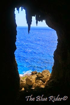 IMG_0331