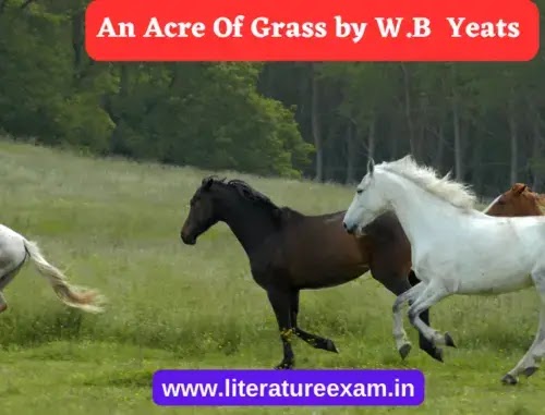 Analyze the imagery in W.B. Yeats An Acre of Grass