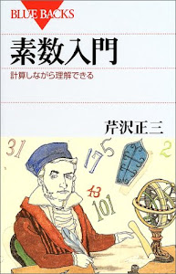 素数入門―計算しながら理解できる (ブルーバックス)