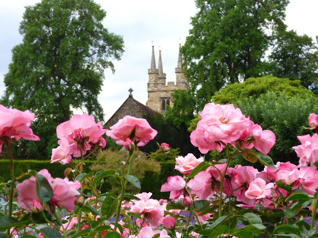 Penshurst village church in the background, pink roses in the foreground