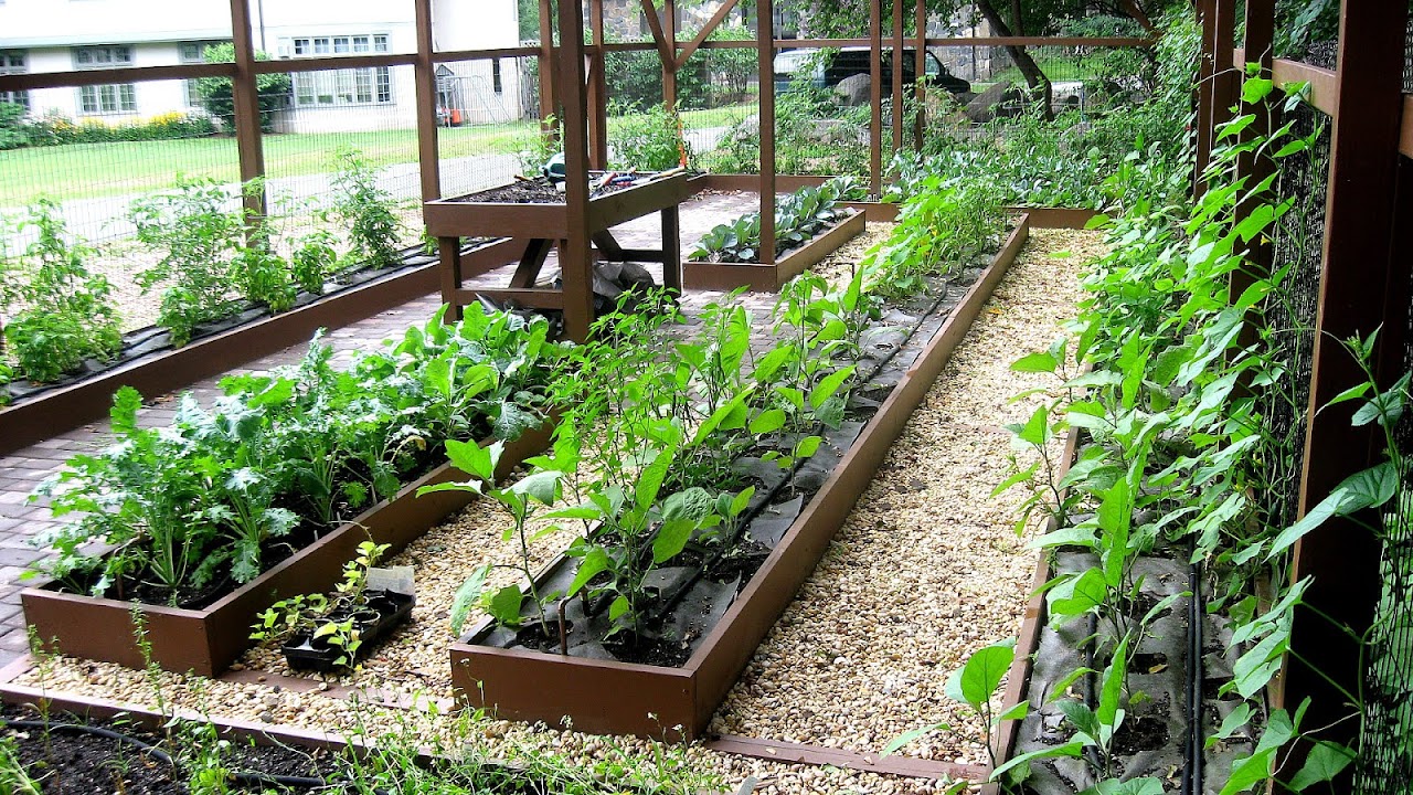 Vegetable And Herb Garden Layout