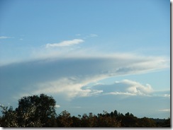 DSCF2066