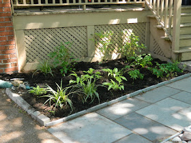 by Paul Jung Gardening Services--a Toronto Gardening Company Mount Pleasant East Davisville New Front Shade Garden After