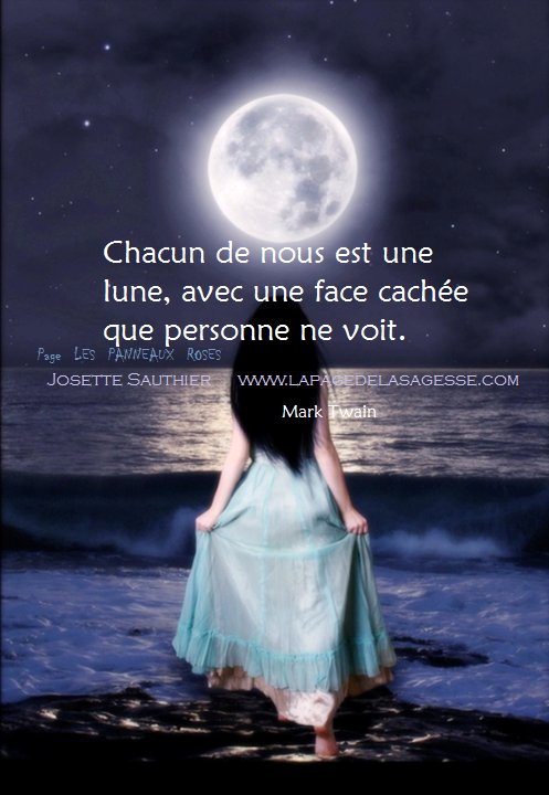 Les Panneaux Roses Citation De Mark Twain Sur La Double Personnalite