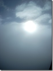 DSCN0343