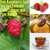 Red Raspberry Leaf Tea to Eliminate PMS Cramps and Pain Recipe