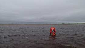 Pelastautumispukuinen henkilö katsoo vesikiikarilla veden alle matalassa vedessä