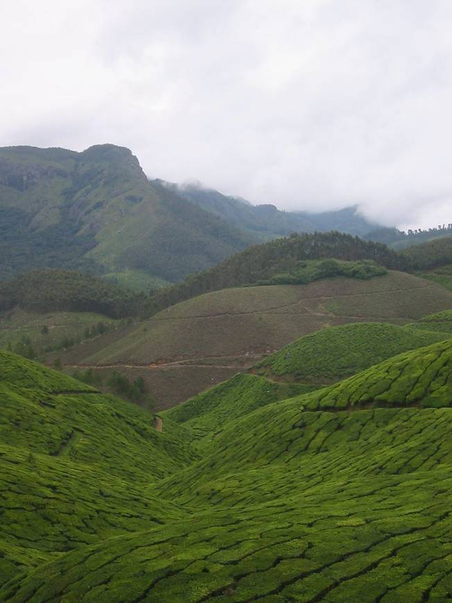 Beautiful Pictures from Kerala 1