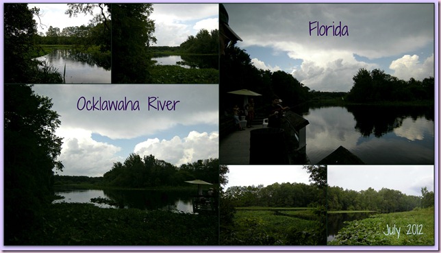 PmMMRiver