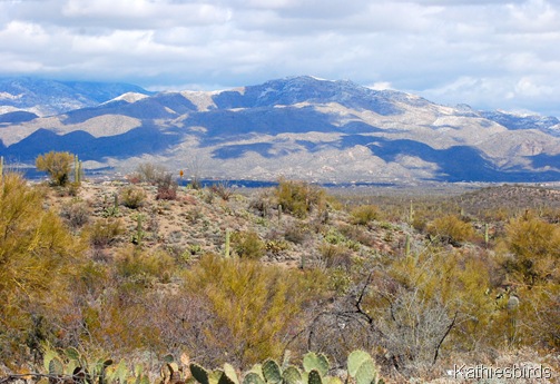 34. Saguaro NP-kab