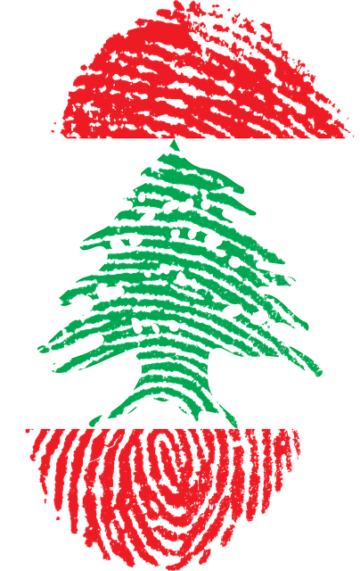 Profil negara Lebanon