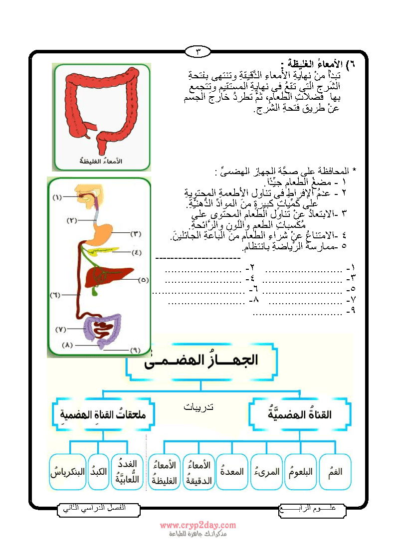 مذكرة علوم الصف الرابع الابتدائى ترم ثانى 2019 جاهزة للطباعة